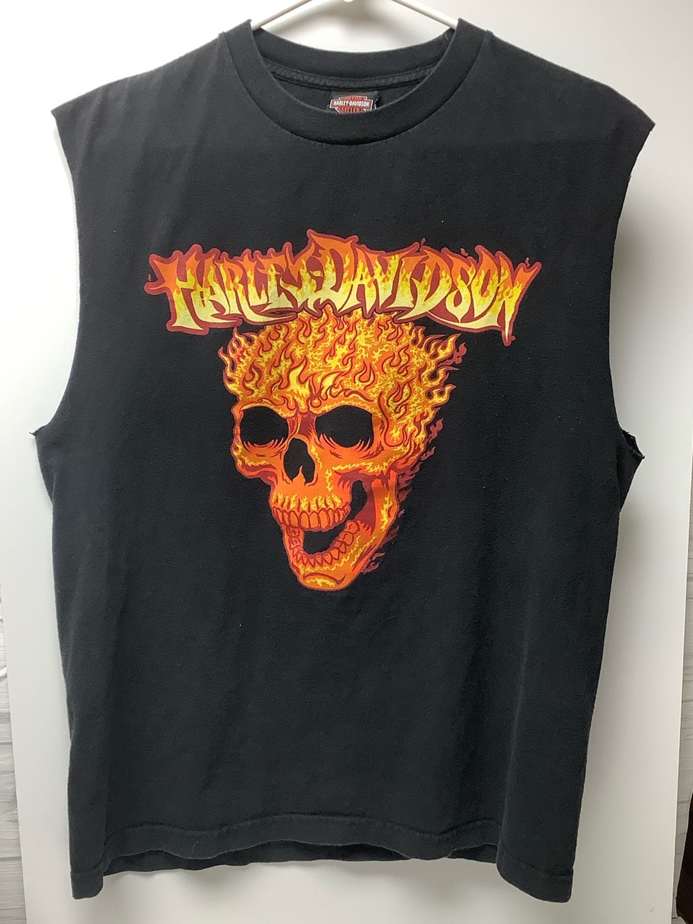 Harley-Davidson Tank with Fiery Skull Graphic
